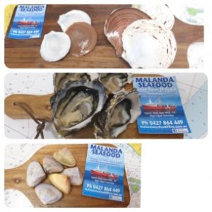 Mollusks